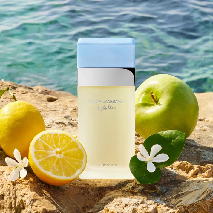 Dolce & Gabbana Light Blue 3.4 oz